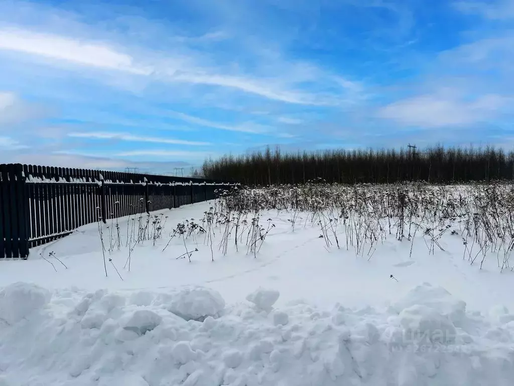 Участок в Московская область, Раменский муниципальный округ, Оттепель ... - Фото 1