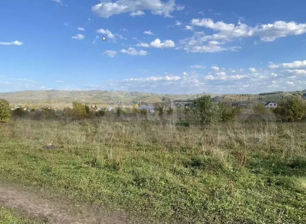 Участок в Алтайский край, Алтайский район, Айский сельсовет, ... - Фото 2