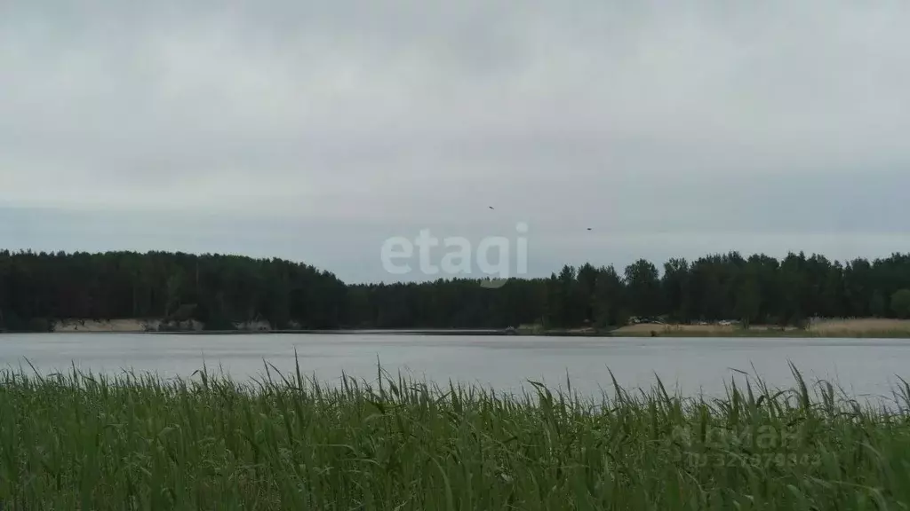 Участок в Ленинградская область, Приозерский район, Ромашкинское ... - Фото 1