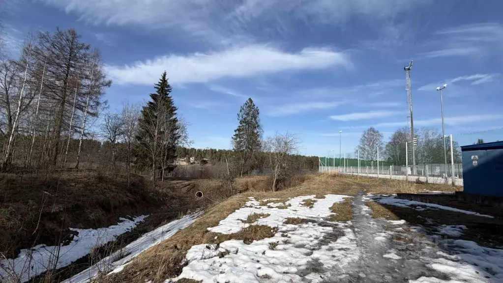 Участок в Ленинградская область, Выборгский район, Рощино пгт ул. ... - Фото 2