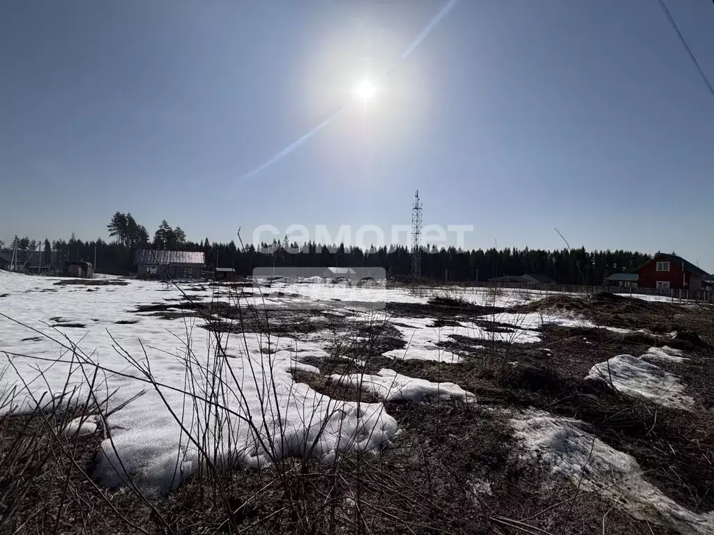 Участок в Свердловская область, Ревда ул. Дубравная, 81 (9.77 сот.) - Фото 2