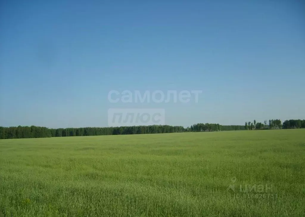Участок в Оренбургская область, Оренбургский район, Нежинский ... - Фото 1