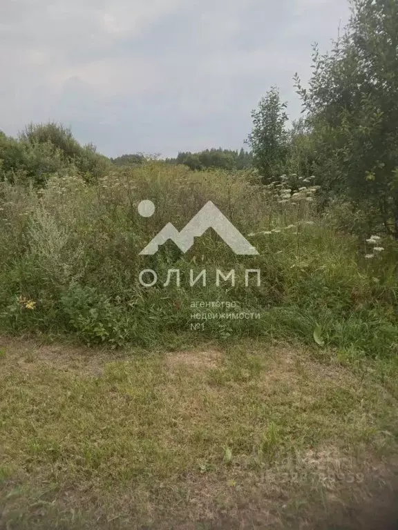 Участок в Ярославская область, Ярославский муниципальный округ, д. ... - Фото 2