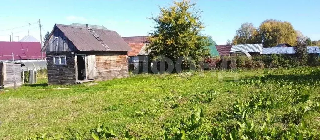 Участок в Новосибирская область, Новосибирский район, Барышевский ... - Фото 0