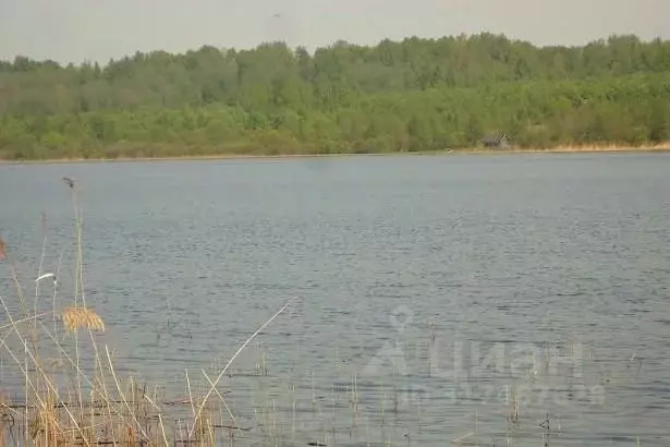 Участок в Псковская область, Плюсский муниципальный округ, д. Ктины  ... - Фото 1