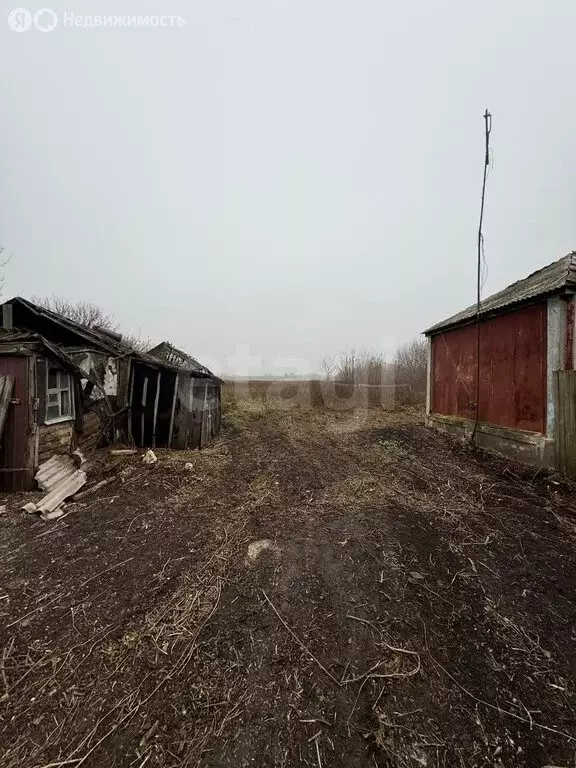 Участок в Хохольский район, село Кочетовка (20 м) - Фото 1