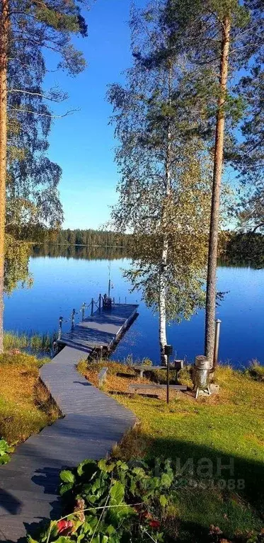 Участок, 8.3 сот., поселения (ижс) - Фото 1