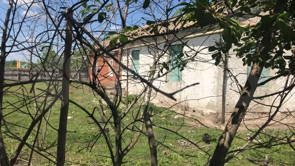 Дом 84 м на участке 37 сот. - Фото 0