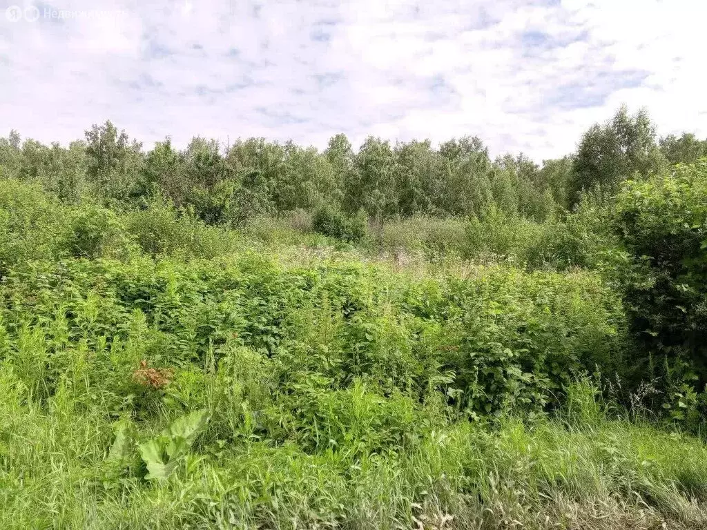 Участок в Пласт, СОПО Горняк-2 (5 м) - Фото 2