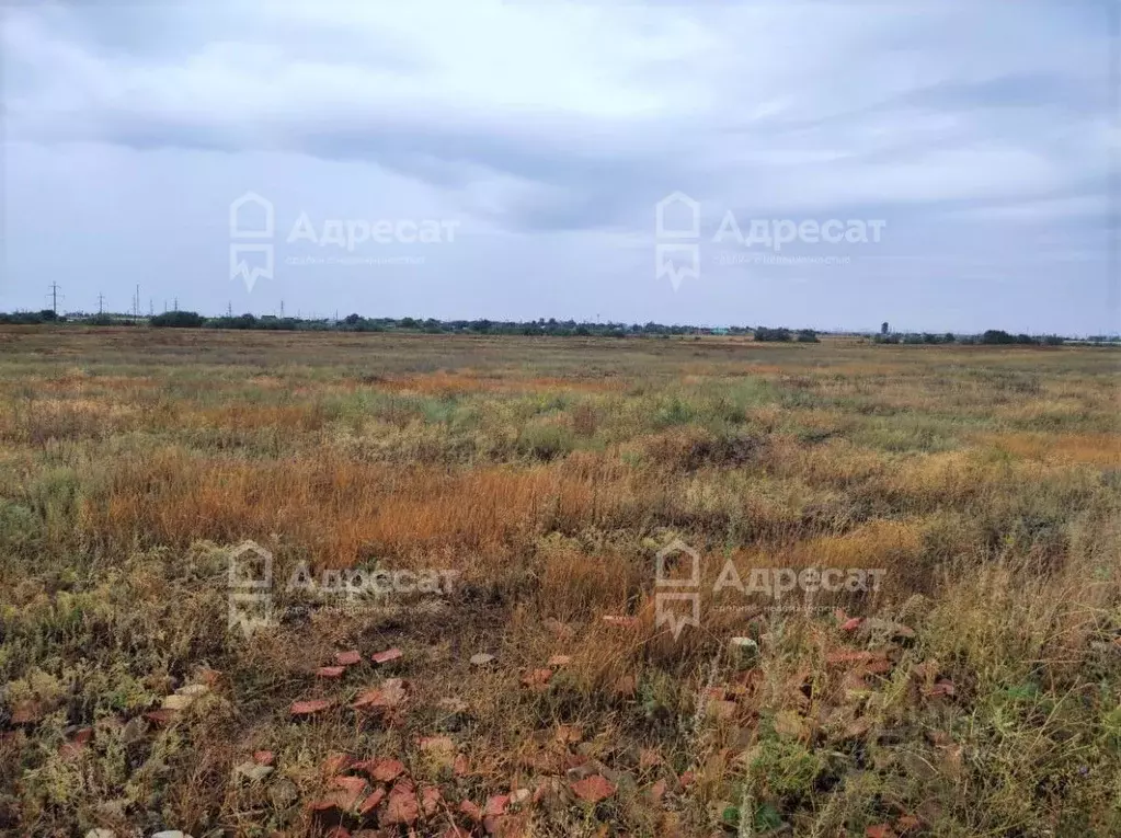 Участок в Волгоградская область, Светлоярский район, Червленовское ... - Фото 0