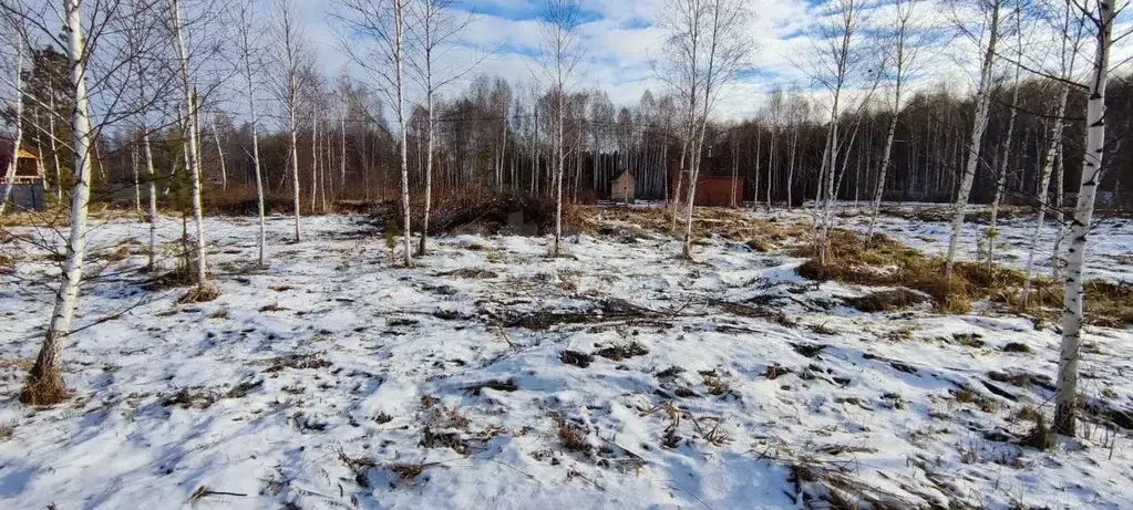 Участок в Тюменская область, Нижнетавдинский муниципальный округ, ... - Фото 1