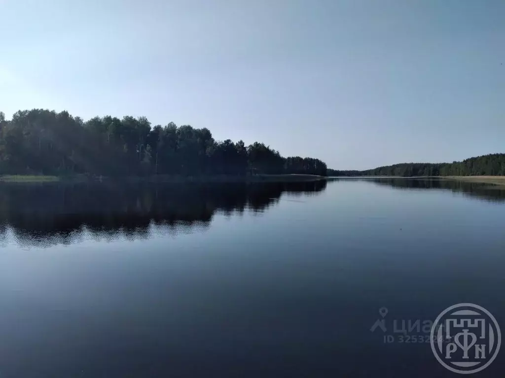 Участок в Ленинградская область, Приозерский район, Красноозерное ... - Фото 1