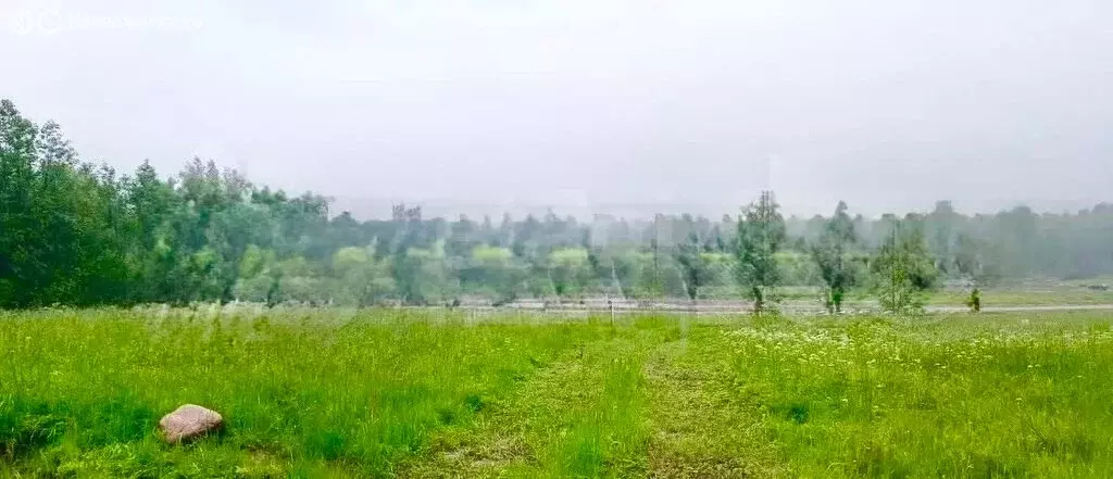 Участок в Выборгский район, Полянское сельское поселение, коттеджный ... - Фото 1