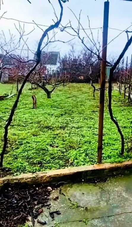 Участок в Крым, Бахчисарайский район, Энтузиаст СПК ул. Грушевая (4.8 ... - Фото 1