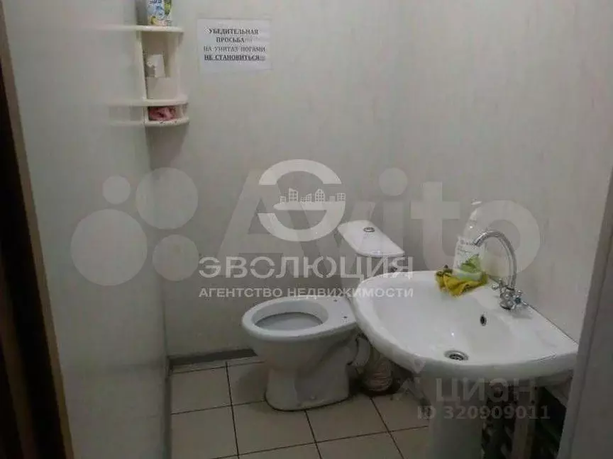 Офис в Ставропольский край, Ставрополь ул. Тухачевского, 5/2 (143 м) - Фото 2