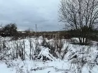 Участок в Брянская область, Брянск Рассвет-2 садовое общество,  (5.22 ... - Фото 1