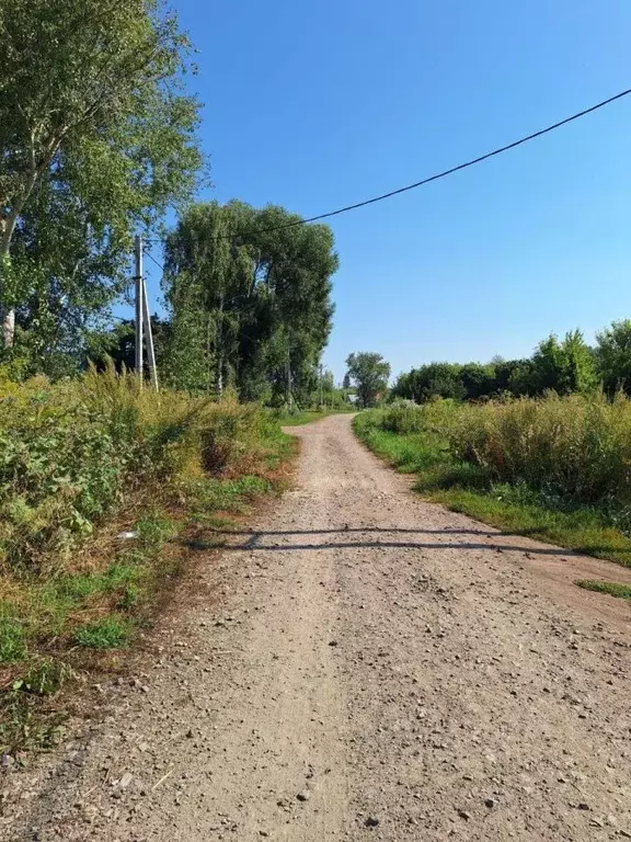 Участок в Татарстан, Зеленодольский район, Нижние Вязовые ... - Фото 2