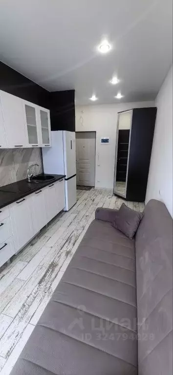 Студия Краснодарский край, Сочи ул. Ленина, 290/7к2 (28.0 м) - Фото 1