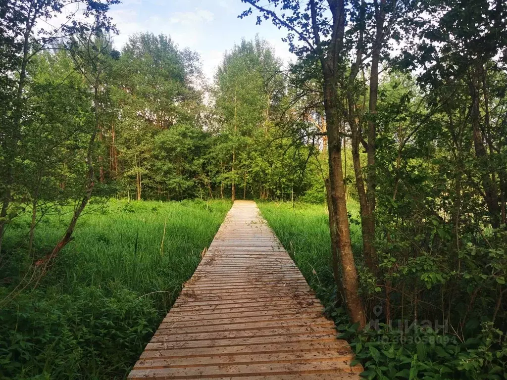 Участок в Московская область, Сергиево-Посадский городской округ, д. ... - Фото 0