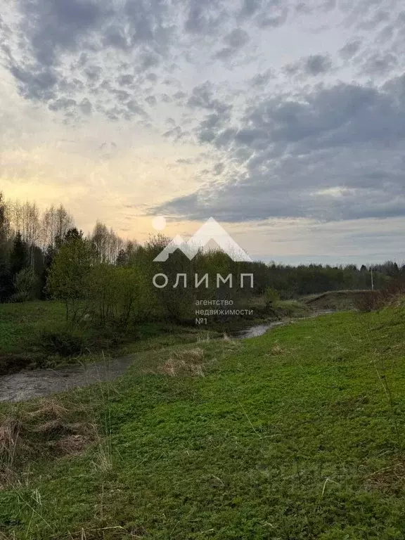 Участок в Вологодская область, Междуреченский муниципальный округ, д. ... - Фото 2