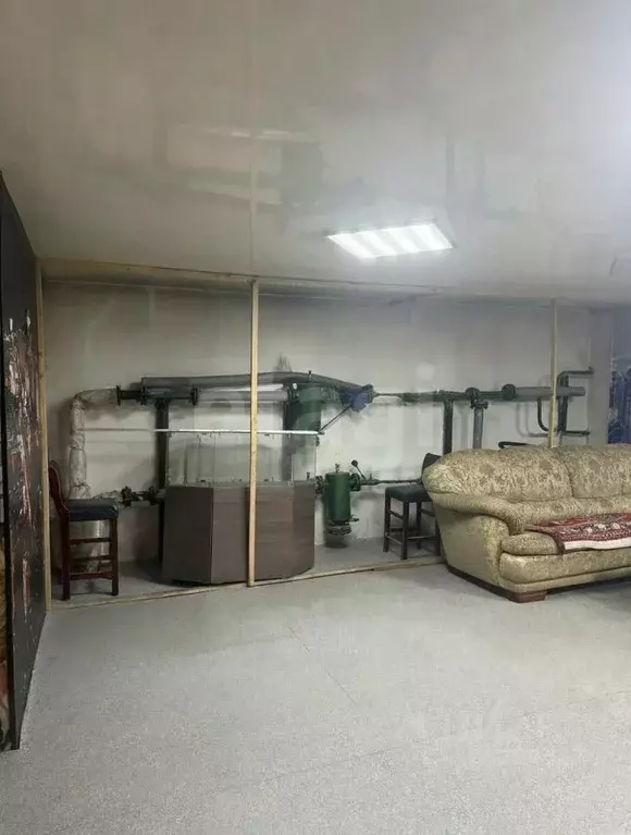 Помещение свободного назначения в Забайкальский край, Чита ул. Бутина, ... - Фото 2