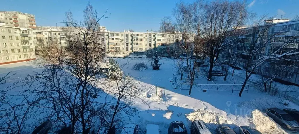3-к кв. Калужская область, Калуга ул. Кубяка, 18 (57.2 м) - Фото 2
