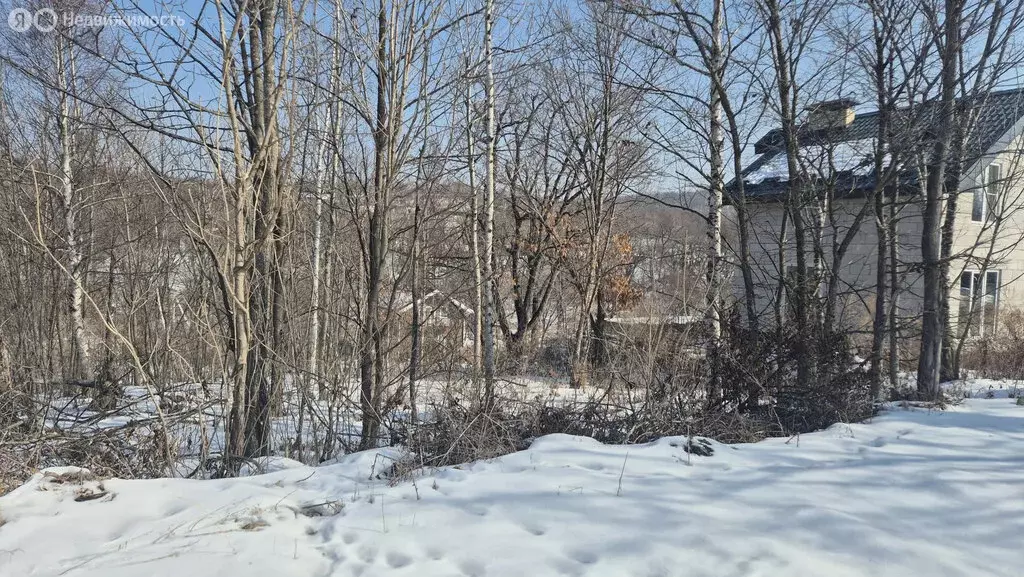 Участок в Приморский край, межселенные территории Дальнереченского ... - Фото 1