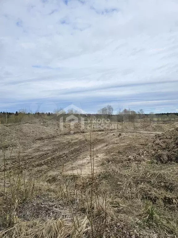 Участок 10 сот. (СНТ, ДНП) - Фото 0