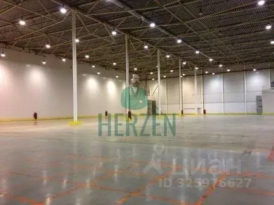 Производственное помещение в Московская область, Чехов муниципальный ... - Фото 2