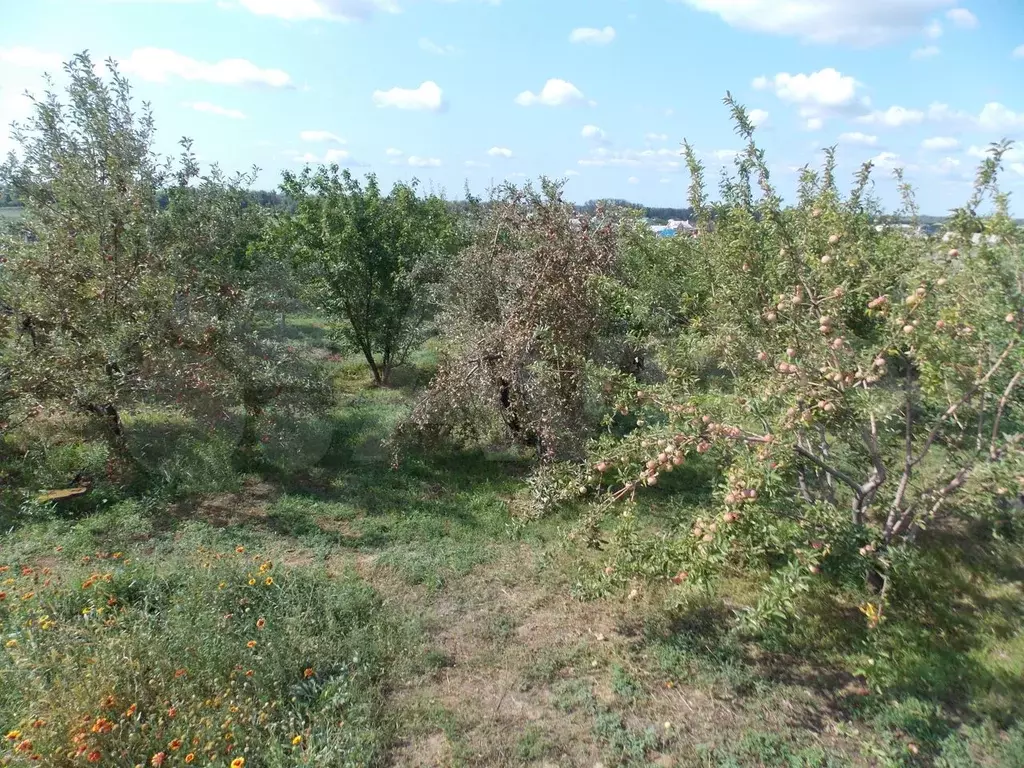 Купить Участок В Среднеахтубинском Районе Волгоградской Области