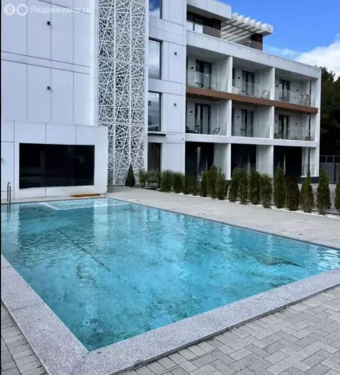 Офис (31.3 м) - Фото 1