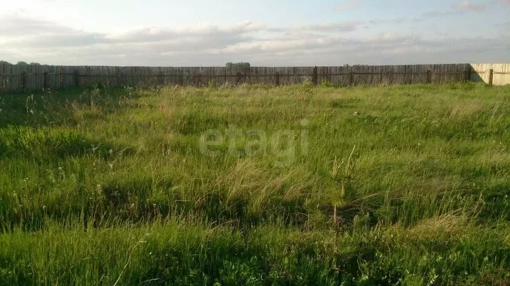 Участок в Курганская область, Кетовский муниципальный округ, посёлок ... - Фото 2