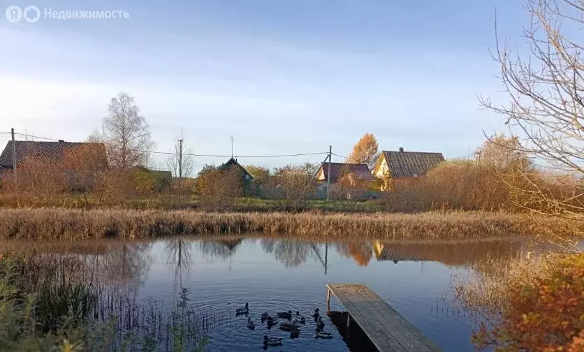Дом в Волосовский район, Бегуницкое сельское поселение, деревня ... - Фото 2