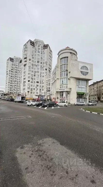 Помещение свободного назначения в Краснодарский край, Новороссийск ул. ... - Фото 1