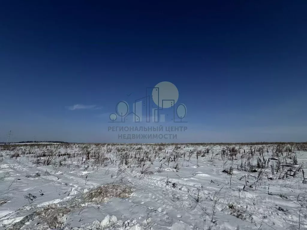 Участок в Иркутская область, Иркутский муниципальный округ, с. ... - Фото 2