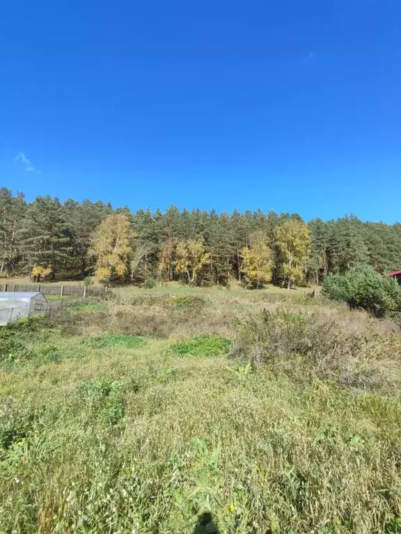 Участок в Алтай, Чемальский район, Узнезинское с/пос, с. Узнезя  (10.0 ... - Фото 1
