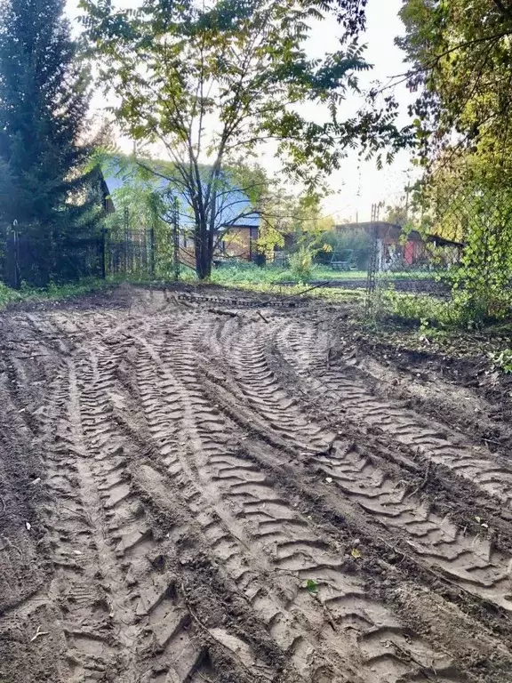 Участок в Алтайский край, Барнаул городской округ, Поселок Борзовая ... - Фото 1