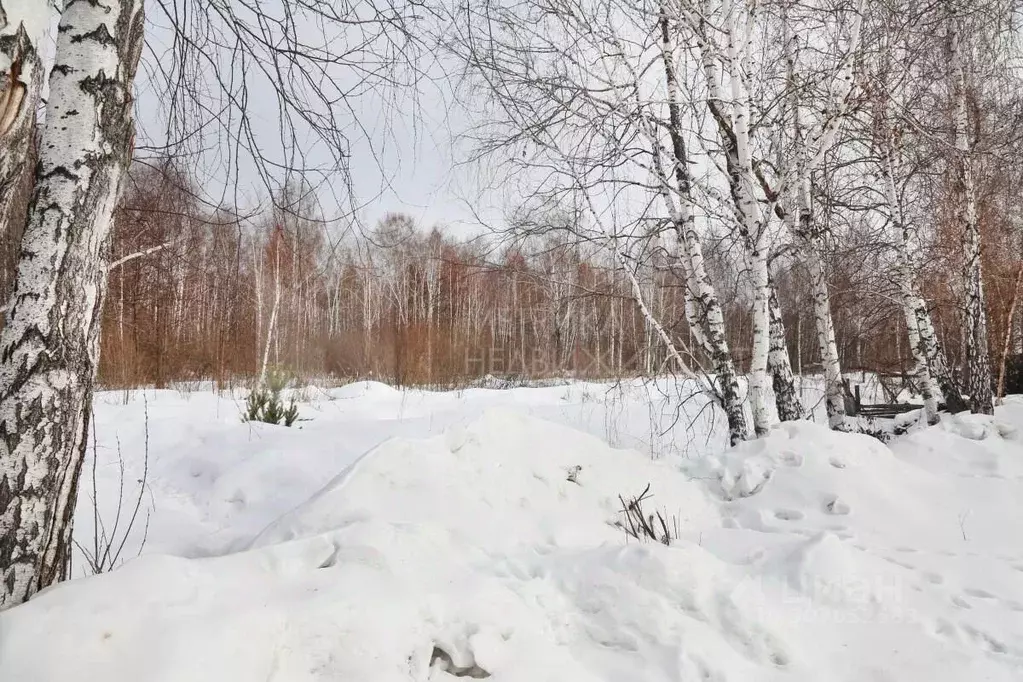 Участок в Тюменская область, Тюменский район, Луговое СНТ 11 (9.0 ... - Фото 0