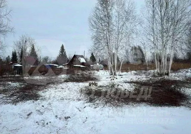 Участок в Тюменская область, Нижнетавдинский район, Виктория ТСН ул. ... - Фото 2