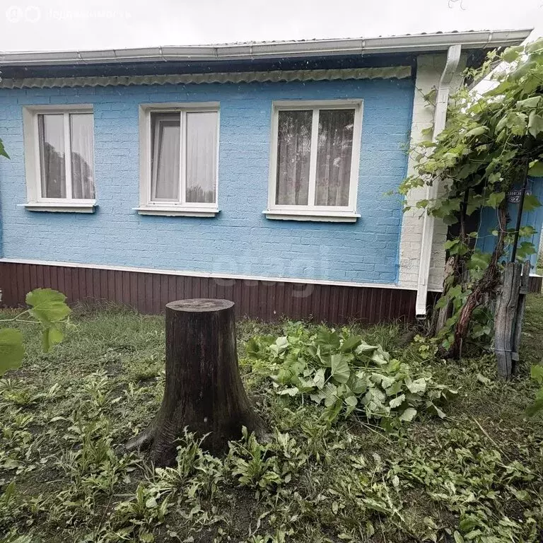 Дом в Белгородская область, Корочанский муниципальный округ, село ... - Фото 1