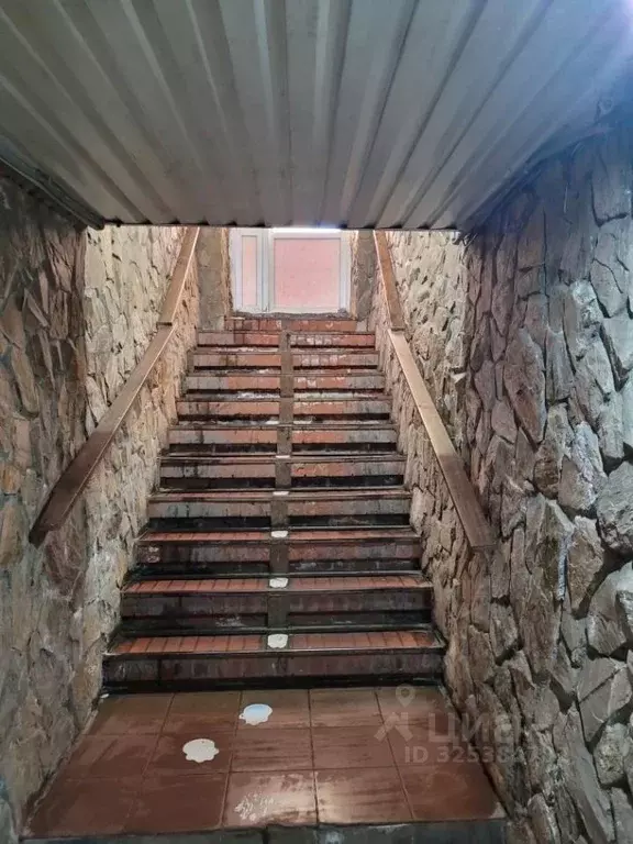 Помещение свободного назначения в Омская область, Омск пос. Амурский, ... - Фото 2