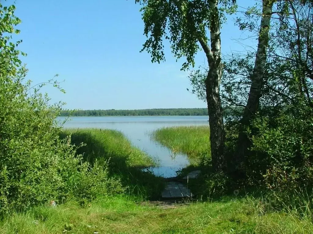 Участок в Ярославская область, Переславль-Залесский муниципальный ... - Фото 1