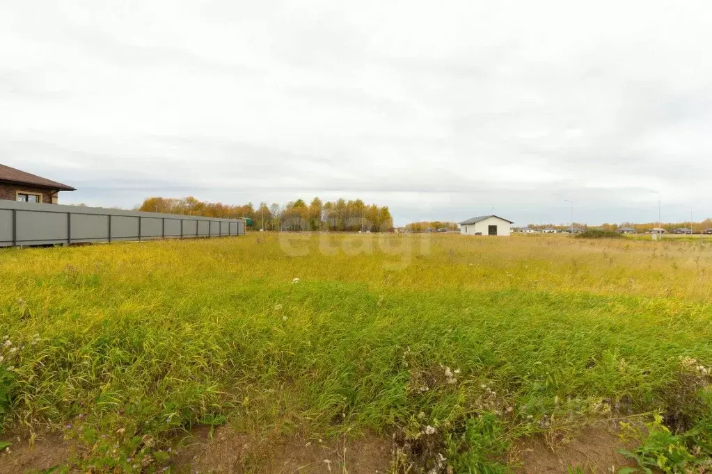 Участок в Тюменская область, Тюменский муниципальный округ, ... - Фото 2