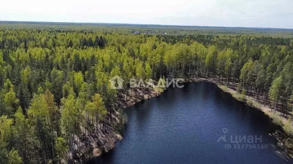 Участок в Ленинградская область, Всеволожский район, Рахьинское ... - Фото 1