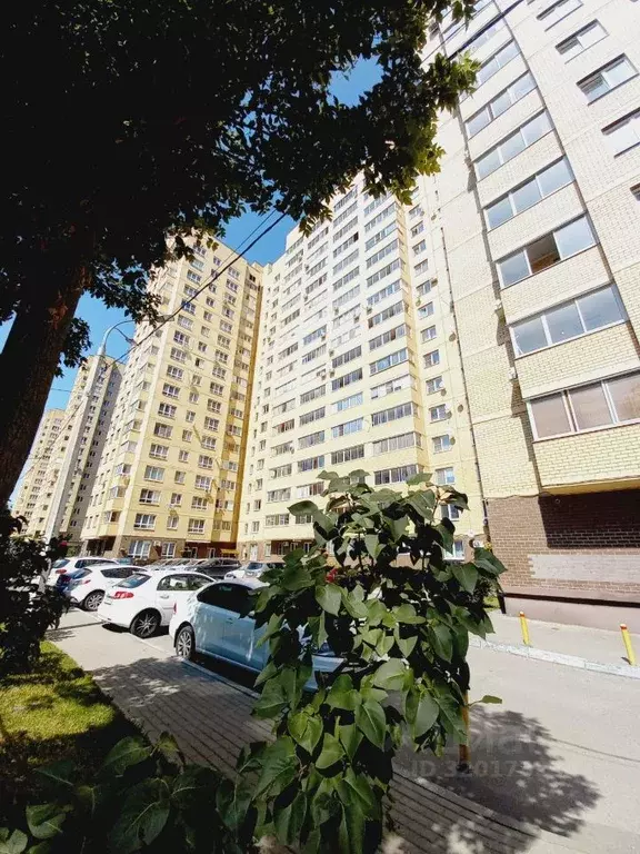 Студия Московская область, Мытищи ул. 2-я Институтская, 18 (32.7 м) - Фото 0