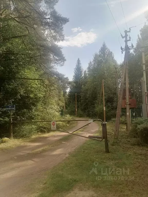 Участок в Ленинградская область, Выборгский район, Приморское ... - Фото 1