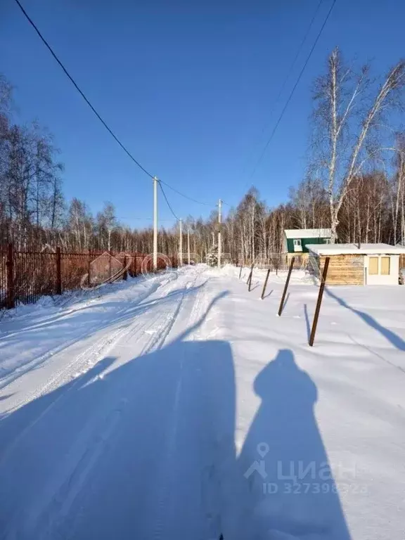Участок в Тюменская область, Тюмень Якорь садовое товарищество, ул. ... - Фото 2