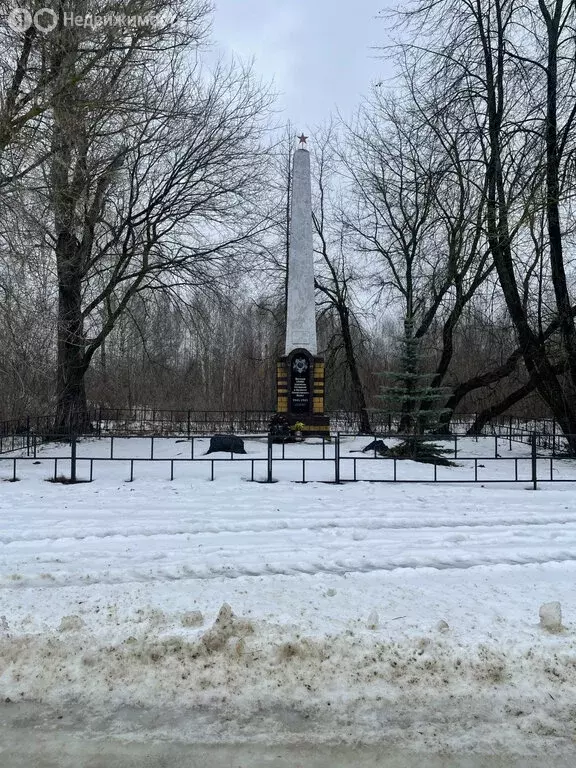 Участок в Нижегородская область, городской округ Бор, село Ивановское ... - Фото 0