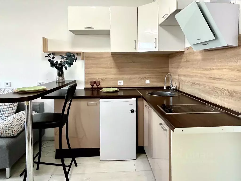 Студия Санкт-Петербург ш. Суздальское, 18к3 (25.0 м) - Фото 2