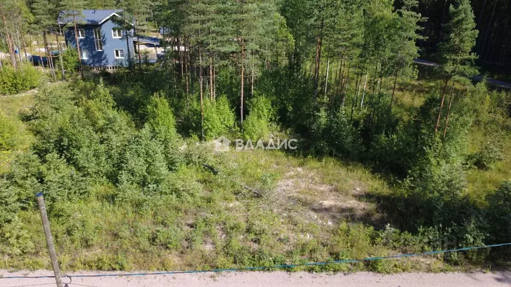Участок в Ленинградская область, Выборгский район, Рощино городской ... - Фото 2